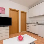 Διαμέρισμα Ivi Drasnice