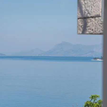 Ivi Drašnice